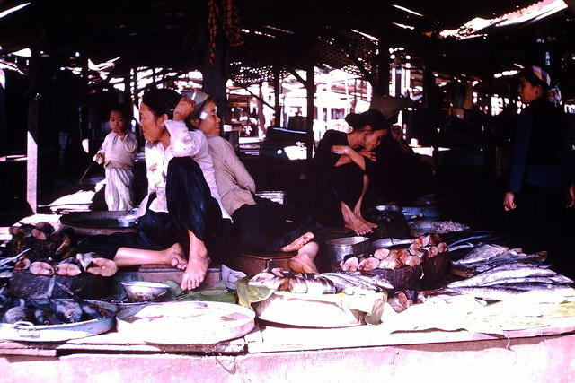 Market Place in Ban Me Thuot (fish department!)